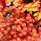 Lifelike 17&#x22; Fall Berry Spray - Perfect for Autumn Home Decor and Seasonal Displays